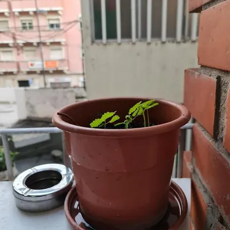 Shangri-la Anjos Bed & Breakfast