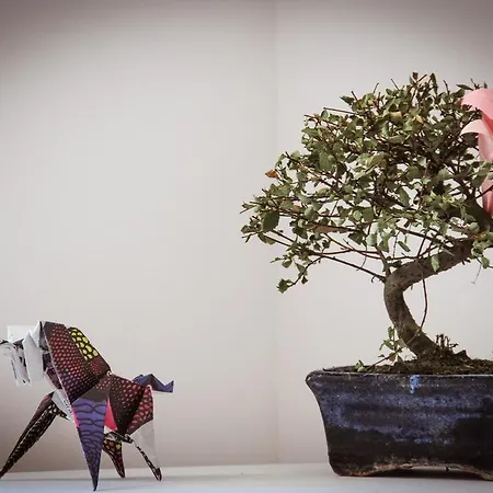 Bed & Breakfast Shangri-la Anjos Lisboa